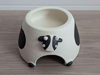 爬虫類 ウェットシェルター 29 Amazon | SUDO(スドー) ウェットシェルター極 きわみ 爬虫類